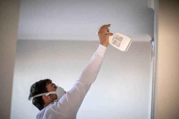 Best Commercial Mold Removal  in Walton, KY